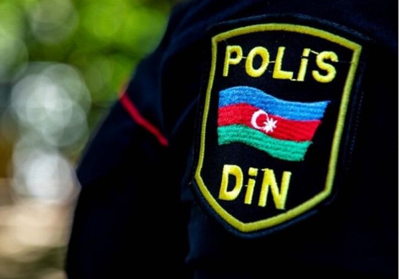 polis66